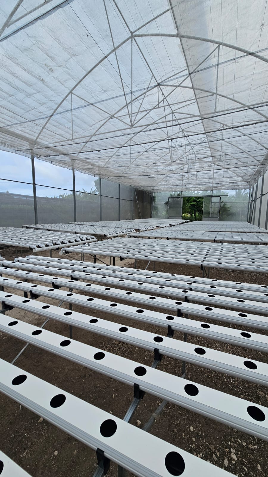 WhatsApp Image 2025-11-26 at 10.57.18 AM (1)